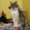 Отзыв от Виктория Голикова